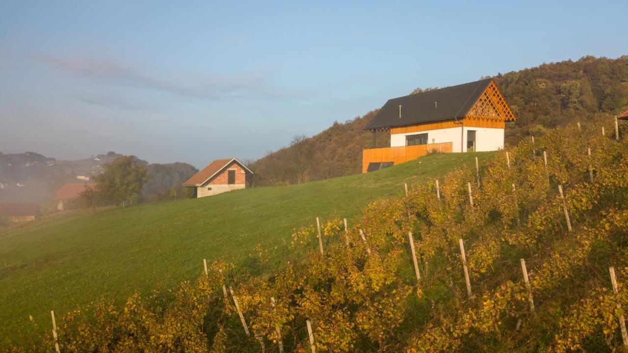 Villa Strtenica In The Vineyard Pristava pri Mestinju Eksteriør bilde
